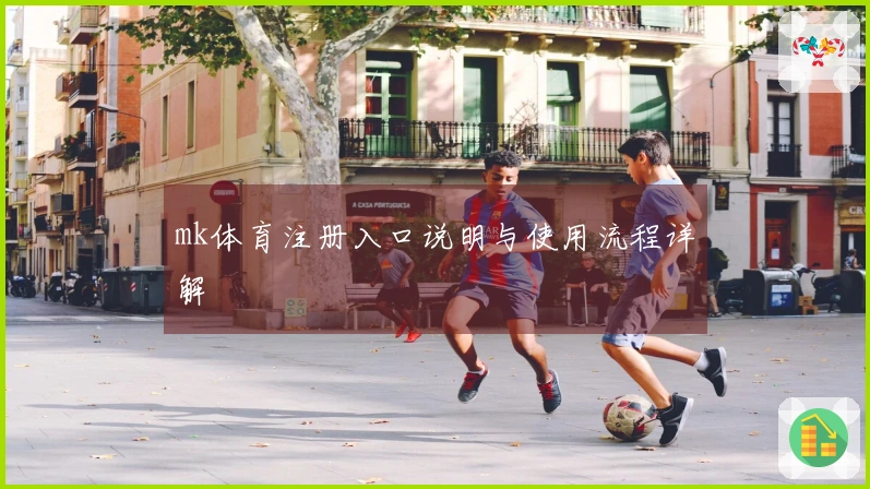 mk体育注册入口说明与使用流程详解