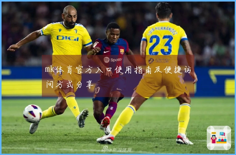 mk体育官方入口使用指南及便捷访问方式分享
