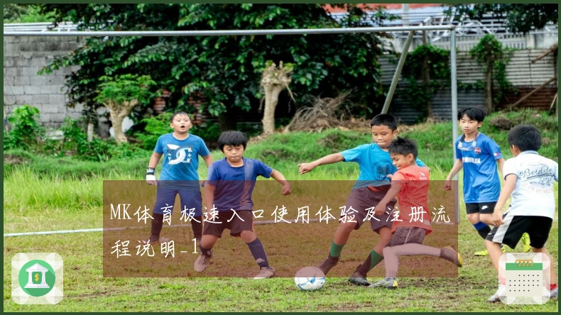 MK体育极速入口使用体验及注册流程说明_1